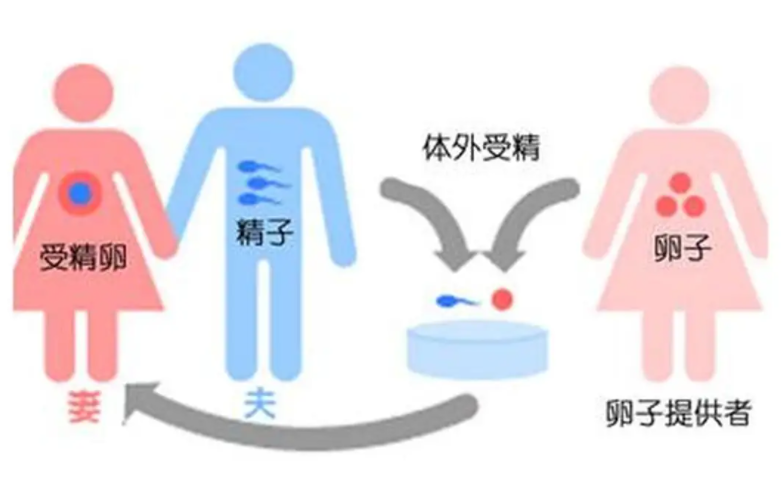 威海54岁供卵试管：如果你想在北京做试管婴儿，你可以找到这些医院（北京的试管婴儿医院列表）